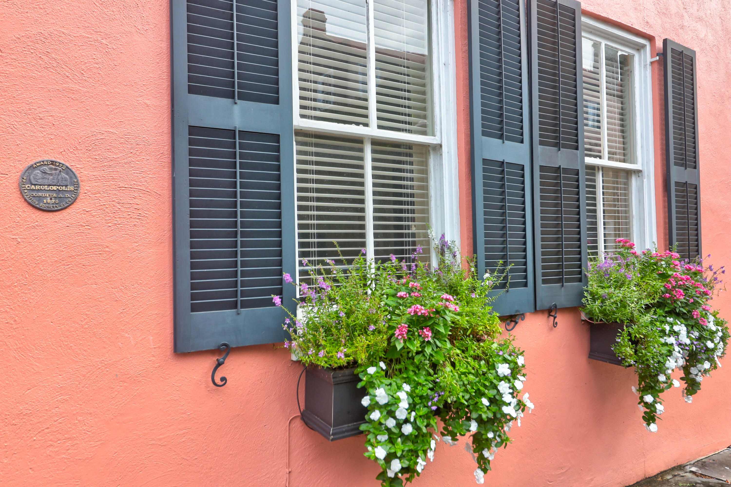 22 Chalmers Street Charleston, SC 29401 - Photo 3 of 30 22 Chalmers -Tidalcreekphoto- (7)