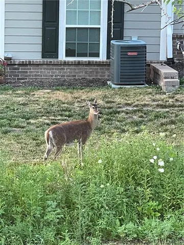 $319,000 | 1011 Redbud Drive, Paola, KS 66071