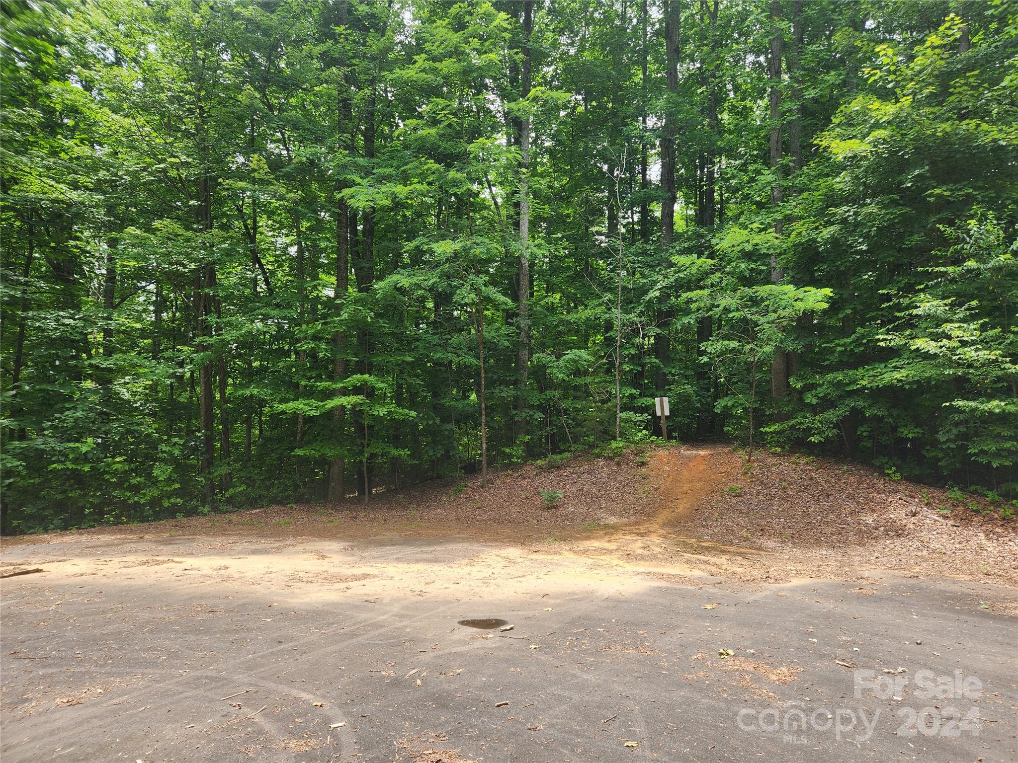 0 Trail Ridge, Unit 115 Marion, NC 28752 - Photo 2 of 6 a view of a dirt road with trees in the background