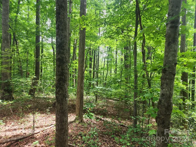 $24,000 | 0 Trail Ridge, Unit 115, Marion, NC 28752