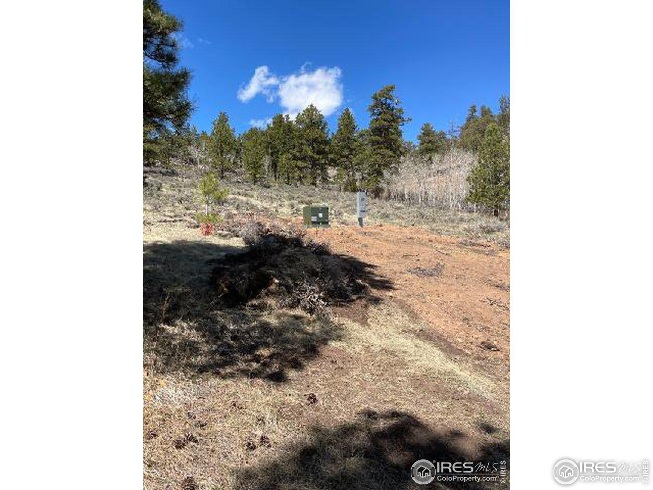 0 Beartrap Road Red Feather Lakes, CO 80545 - Photo 3 of 11 Gallery Image 3