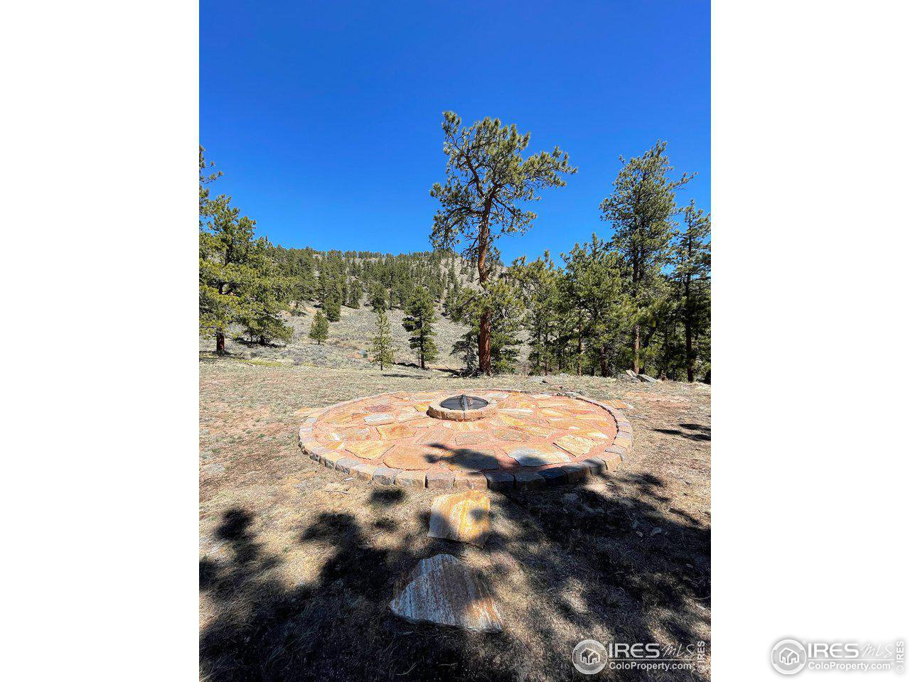 0 Beartrap Road Red Feather Lakes, CO 80545 - Photo 4 of 11 Gallery Image 4