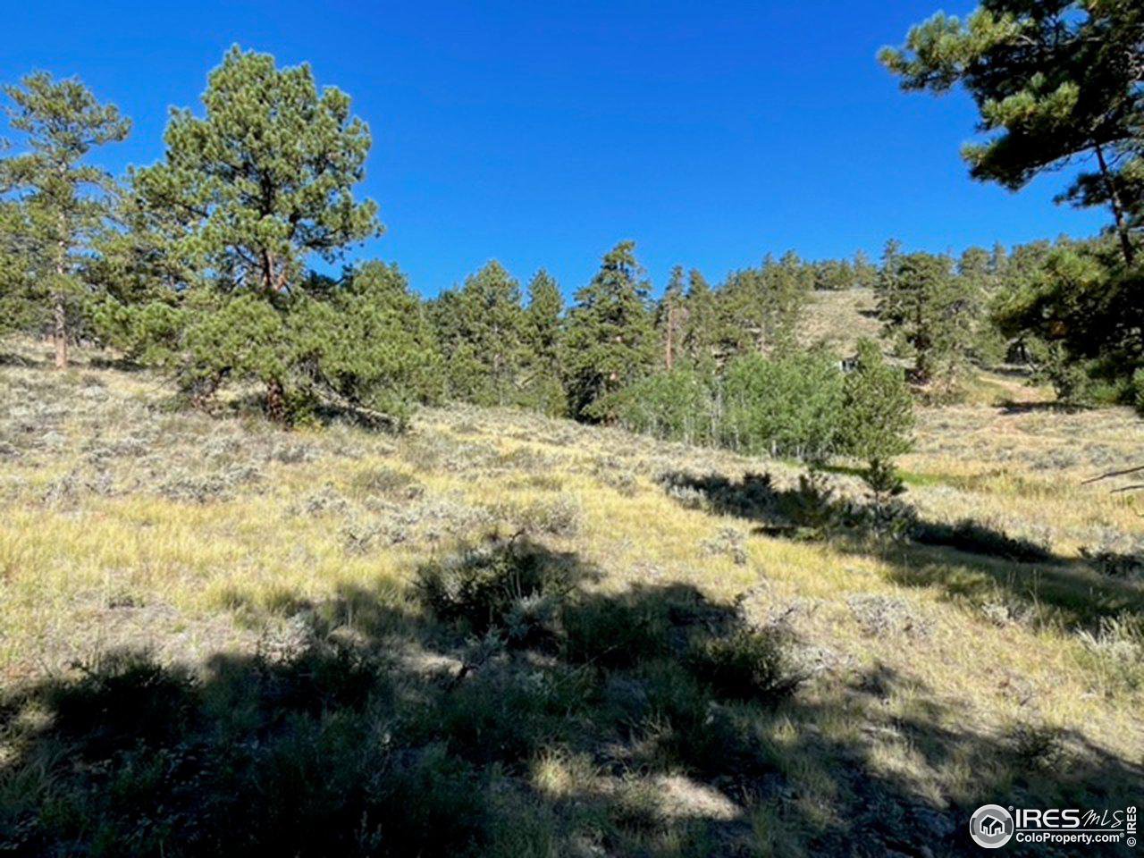 0 Beartrap Road Red Feather Lakes, CO 80545 - Photo 8 of 11 Gallery Image 8