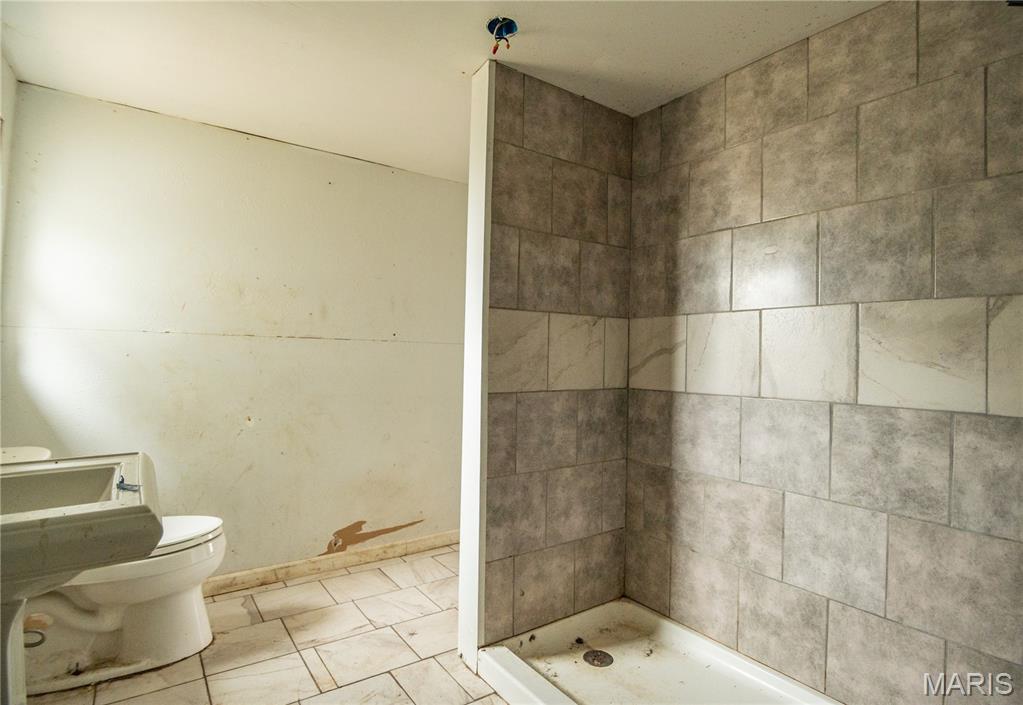 30 Ripley Route Naylor, MO 63953 - Photo 19 of 21