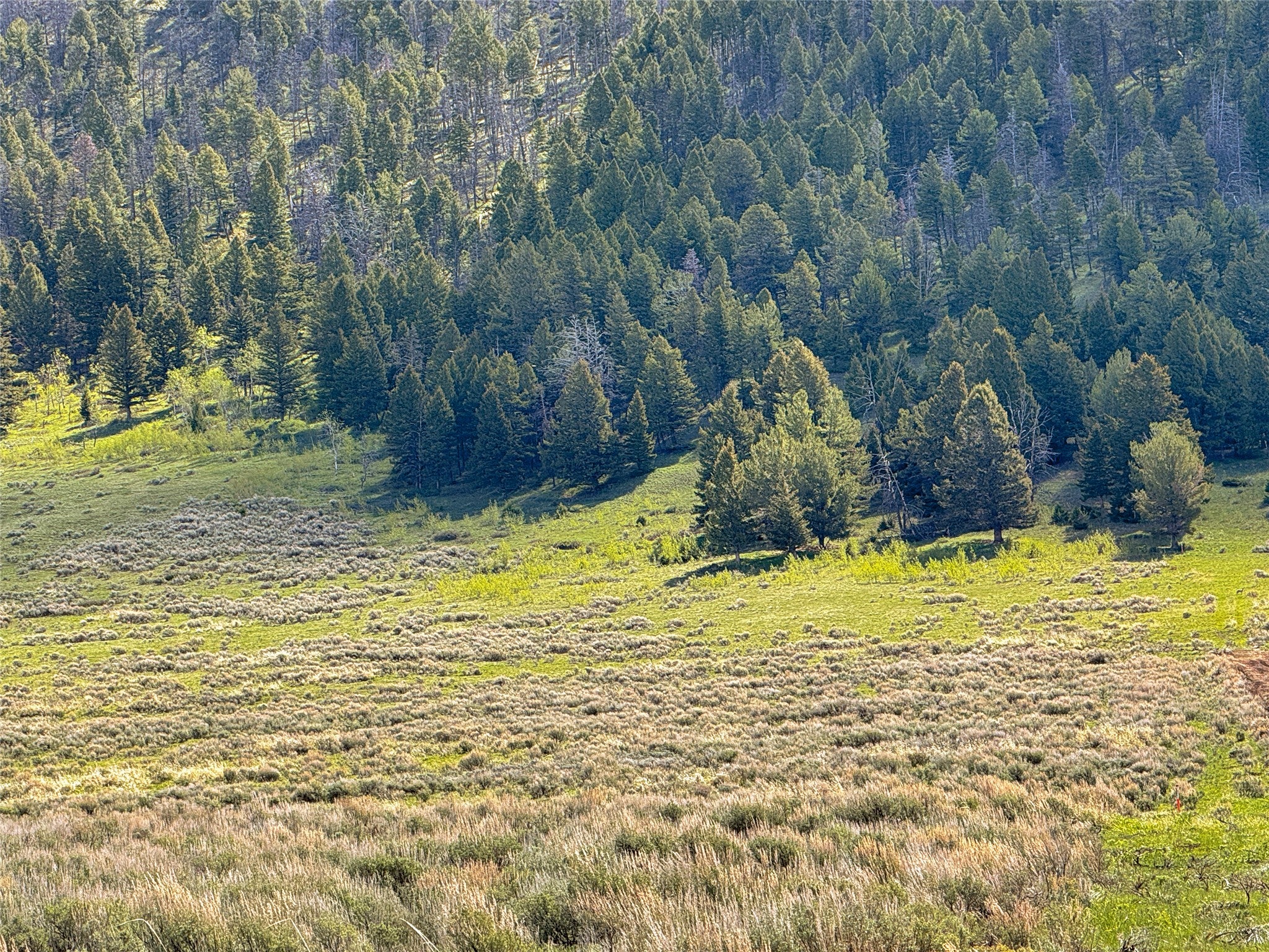 Lot 2-4a Continental Divide Road Cameron, MT 59720 - Photo 5 of 31 Gallery Image 5