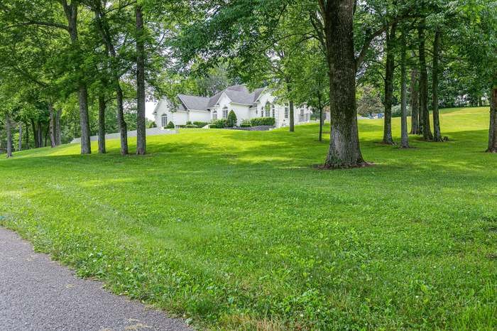 4675 Everal Lane Franklin, TN 37064 - Photo 3 of 15 a huge green field with lots of trees