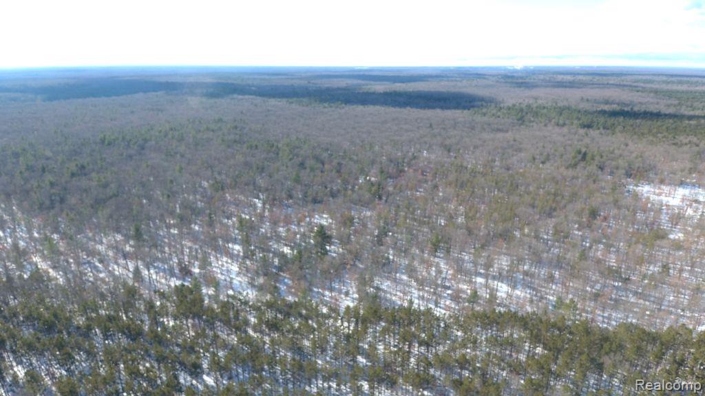 8879 9 Mile Bridge Road Manistee, MI 49660 - Photo 32 of 34