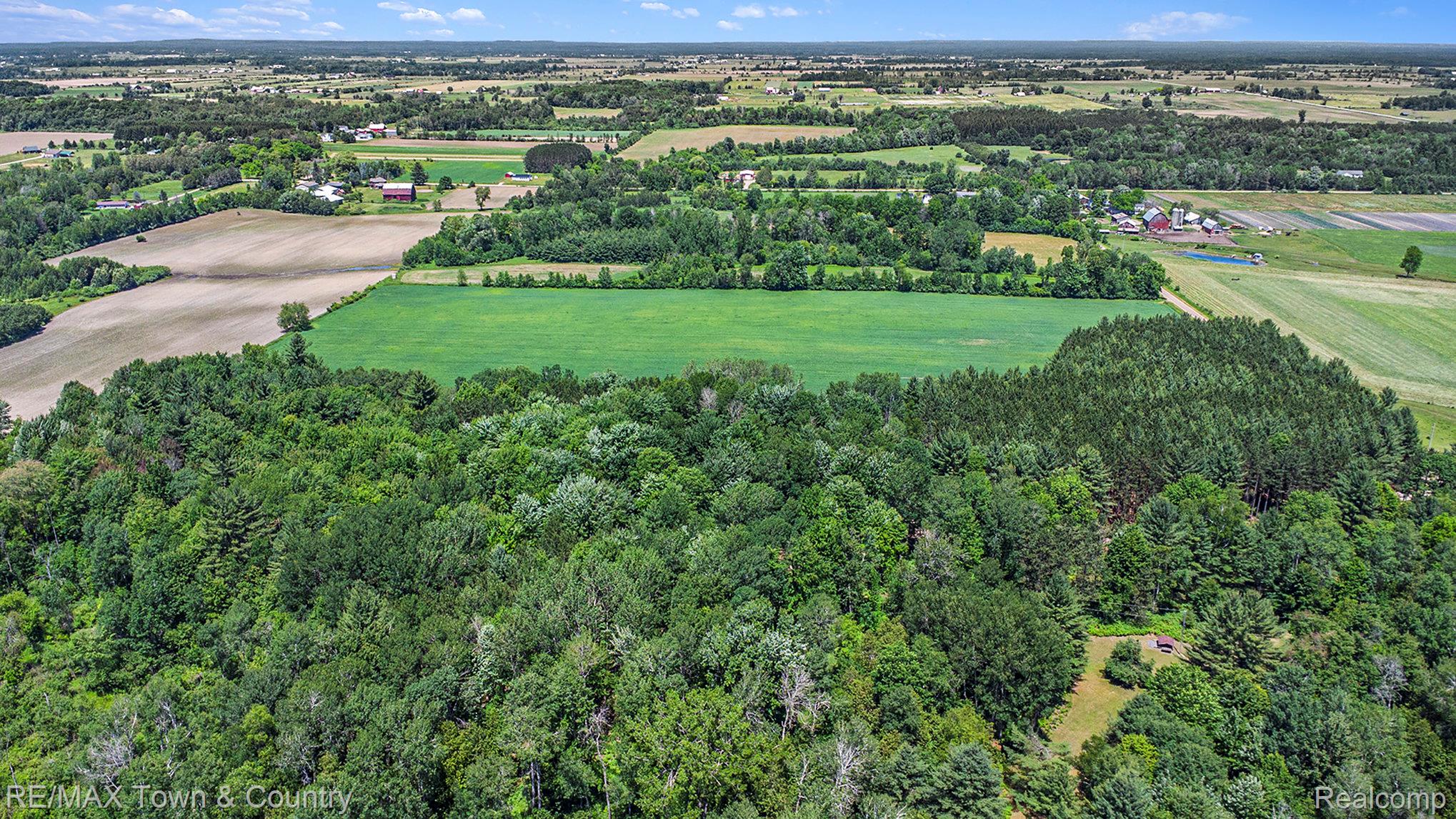 1293 Bellinger Road Gladwin, MI 48624 - Photo 6 of 27 Expansive wooded acreage with a mix of mature deciduous and evergreen trees, surrounded by open fields and distant rural properties
