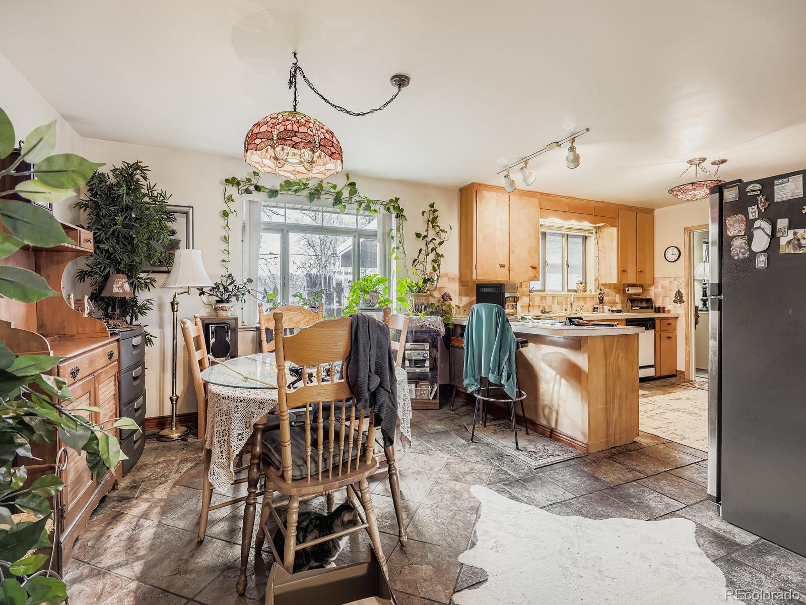 4675 Quay Street Wheat Ridge, CO 80033 - Photo 9 of 29