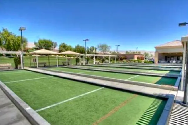 a garden view with tall trees