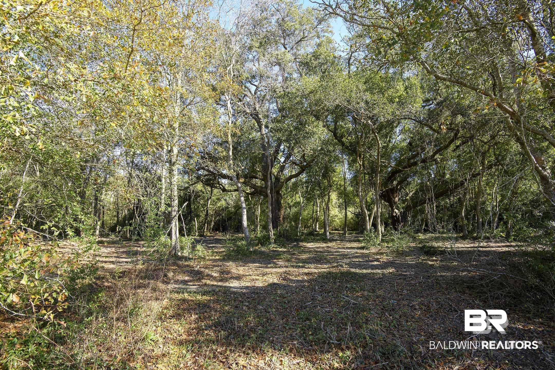 9538 Vernant Park Road Foley, AL 36535 - Photo 4 of 6 View of local wilderness