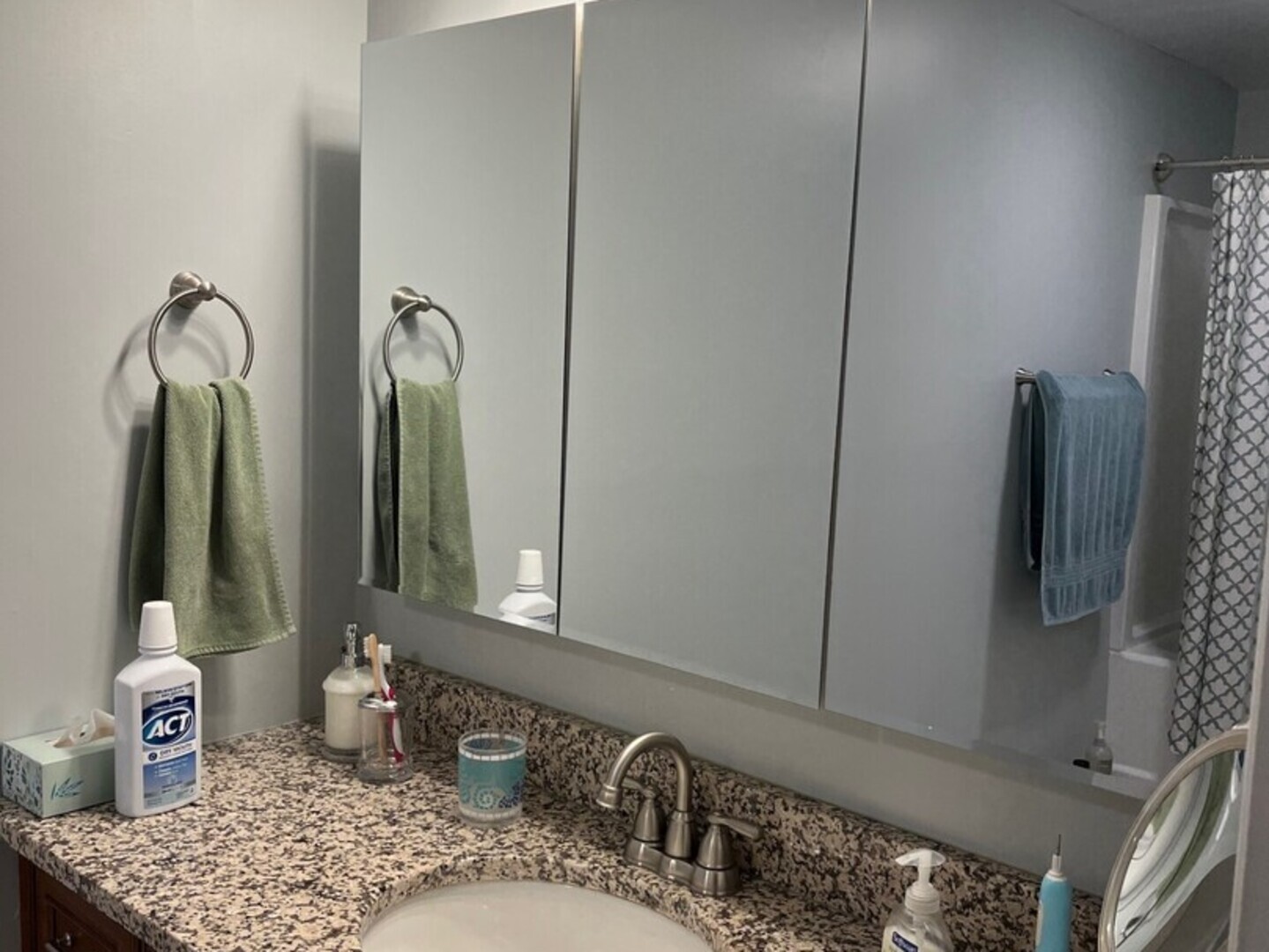 1690 Darwin Court Wheaton, IL 60189 - Photo 12 of 17 a bathroom with a sink and a mirror