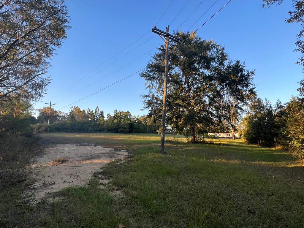 4151 Cotton Box Road Slocomb, AL 36375 - Photo 12 of 17