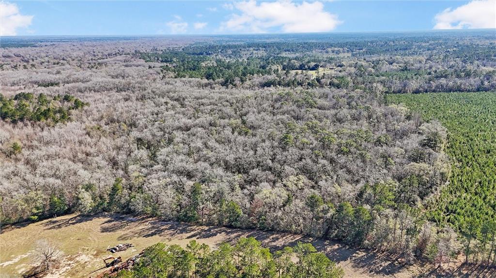83161 Jenkins Cemetery Road Bush, LA 70431 - Photo 26 of 26