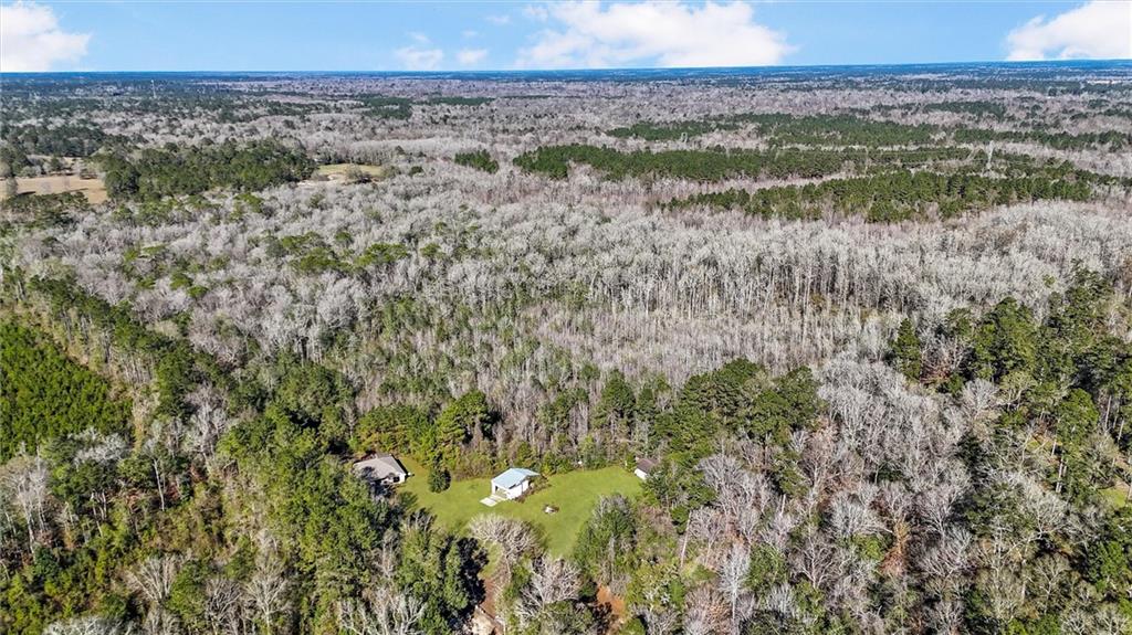 83161 Jenkins Cemetery Road Bush, LA 70431 - Photo 3 of 26