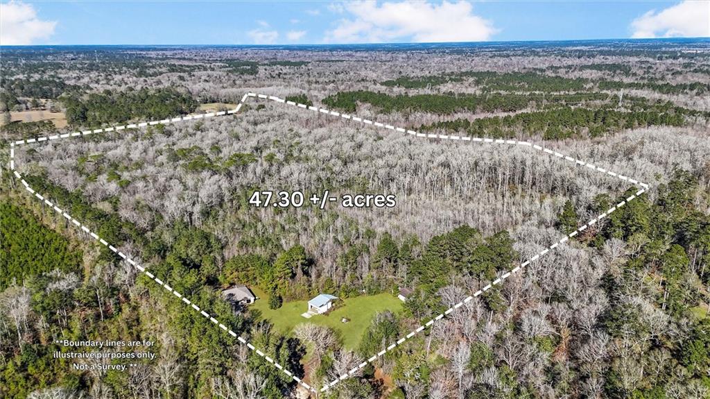 83161 Jenkins Cemetery Road Bush, LA 70431 - Photo 4 of 26