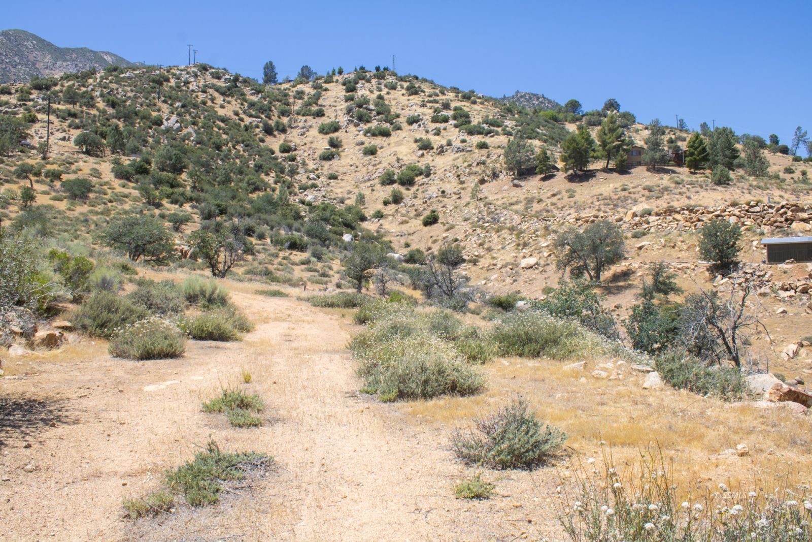 0 Walker Road Kernville, CA 93238 - Photo 8 of 8