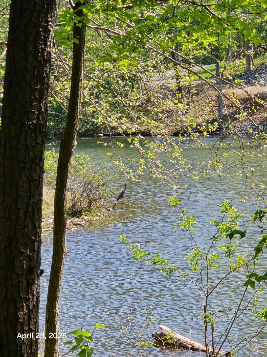 Lot 94 Crestview Road Wirtz, VA 24184 - Photo 6 of 14 LOT 94 SERENE SETTING