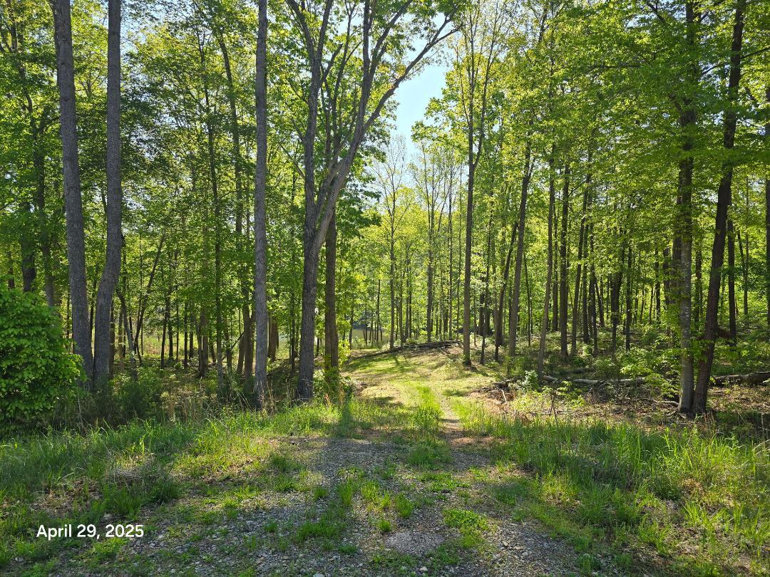 Lot 94 Crestview Road Wirtz, VA 24184 - Photo 7 of 14 lOT 94 dRIVEWAY 2