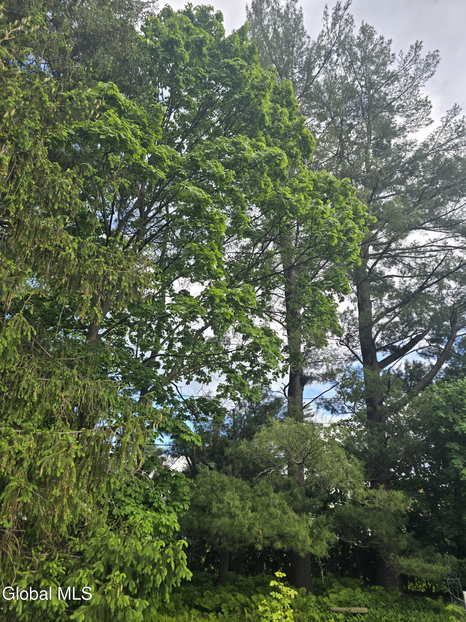 7 Clarendon Road Albany, NY 12203 - Photo 48 of 57 20250525_173030