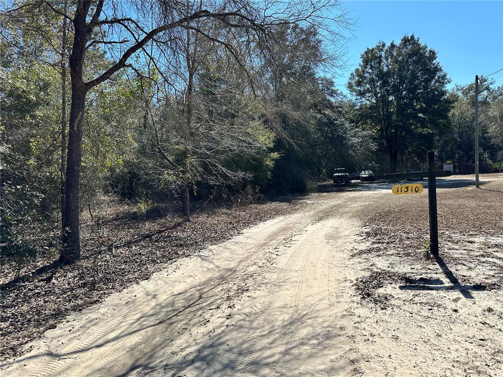 Tbd Northeast 85th Avenue Bronson, FL 32621 - Photo 2 of 7 a backyard of a house with lots of green space