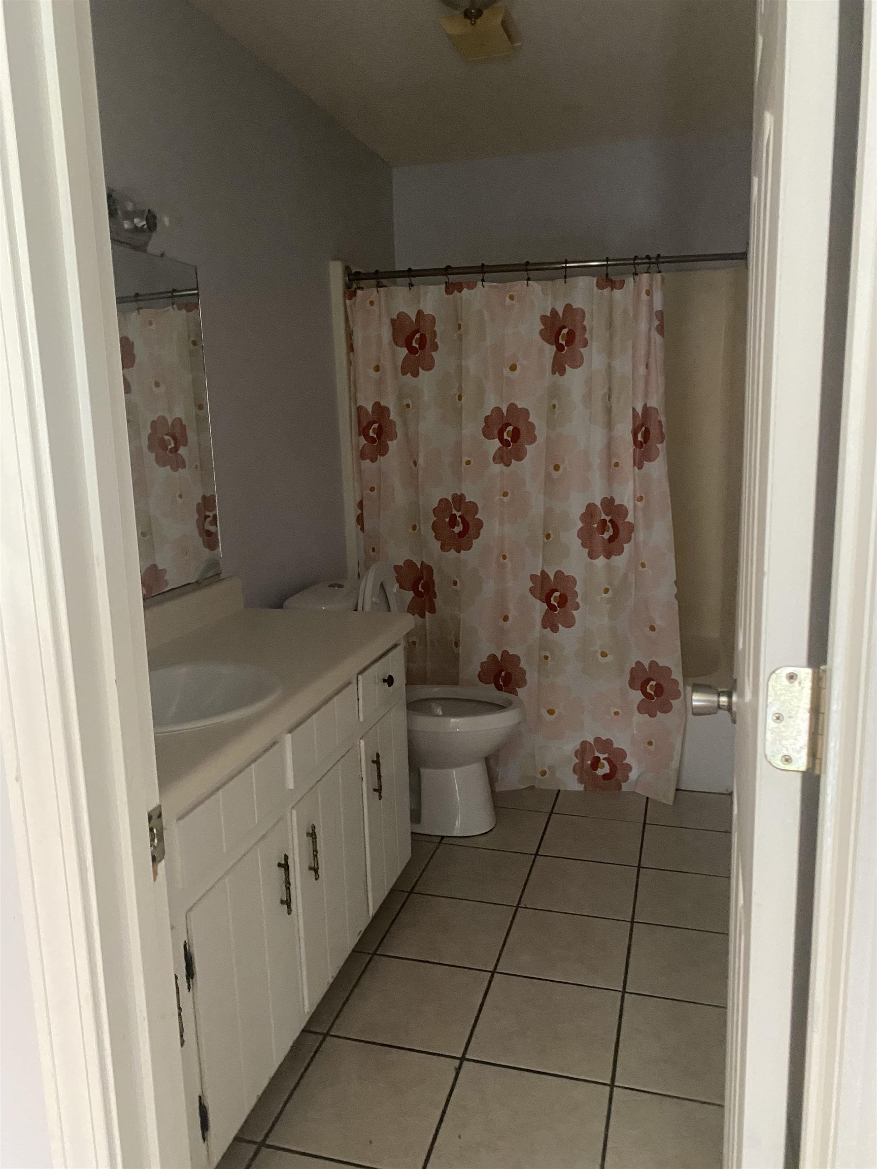 42871 Pine Grove Road Bay Minette, AL 36507 - Photo 10 of 18 master bath