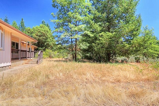 494 Onion Mountain Road Wilderville, OR 97543 - Photo 16 of 23 a view of a yard with a tree