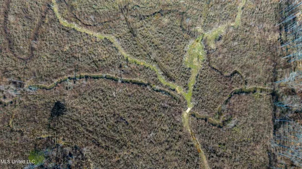 $235,000 | 0 Raytown Road, Canton, MS 39046