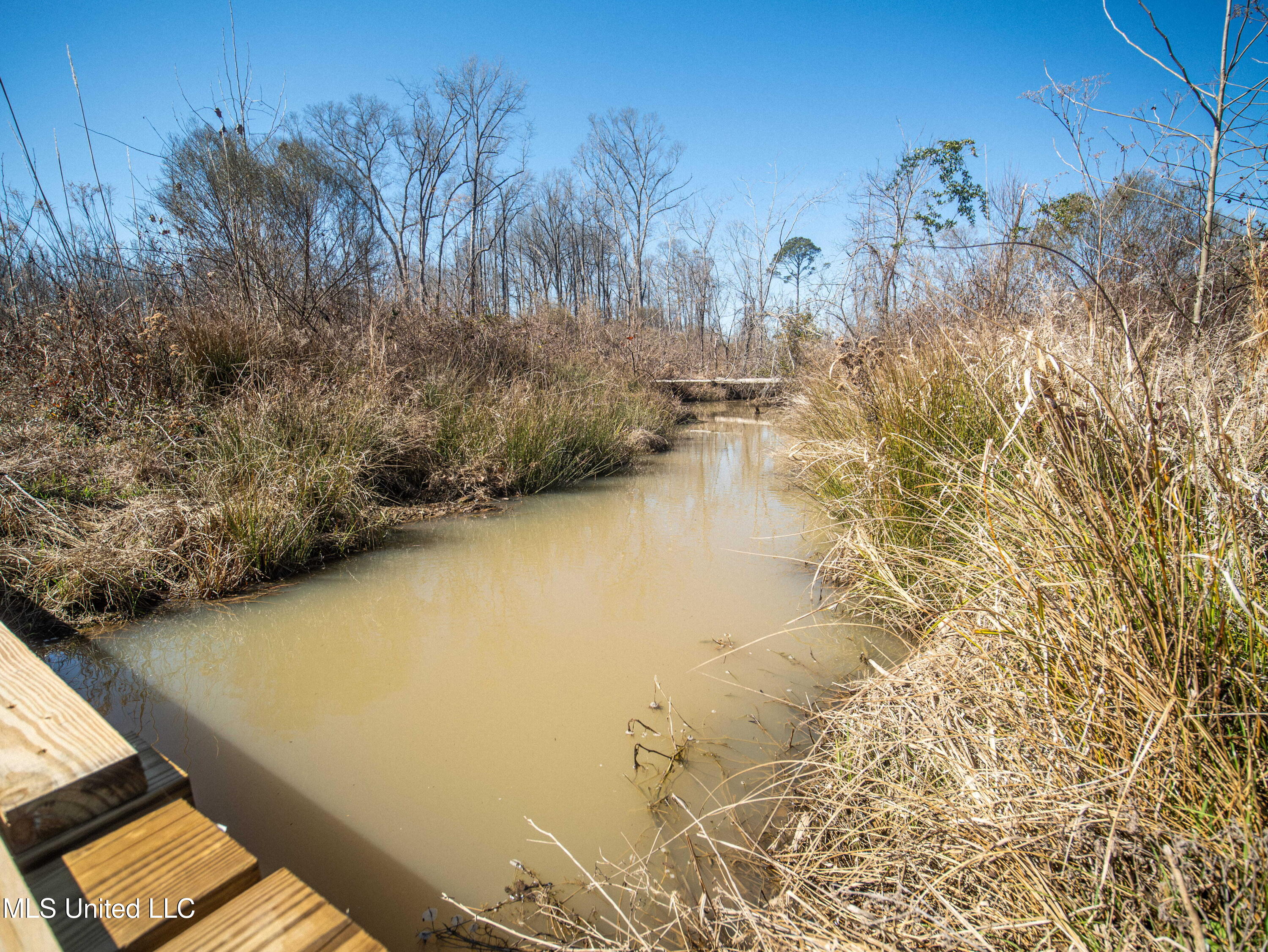 0 Raytown Road Canton, MS 39046 - Photo 10 of 13 P1129453