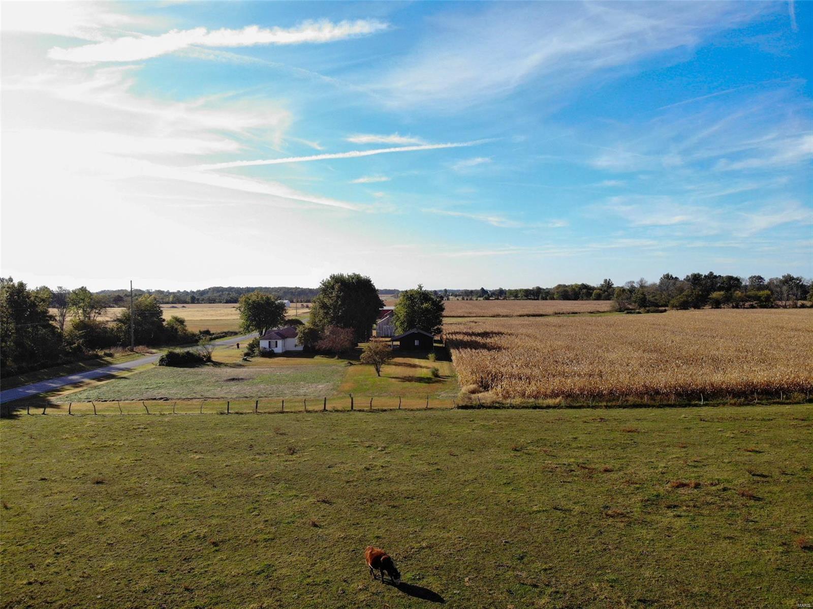 4069 Bannister Road Salem, IL 62881 - Photo 3 of 10