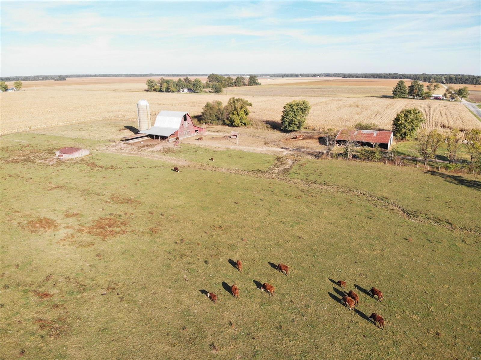 4069 Bannister Road Salem, IL 62881 - Photo 8 of 10