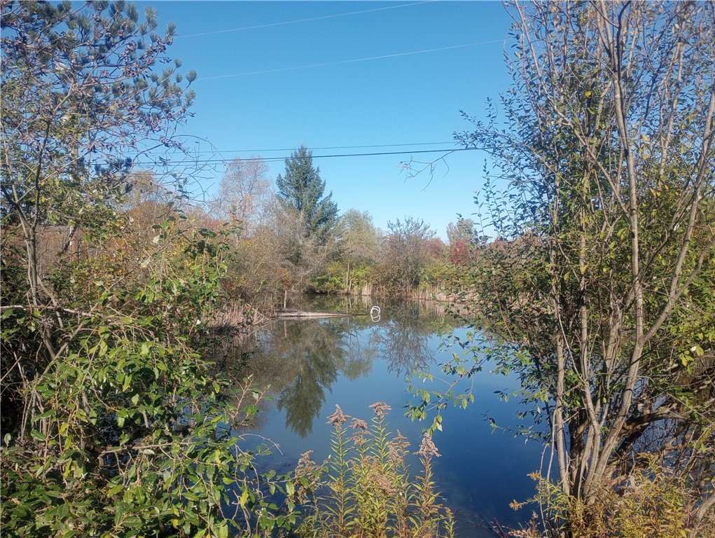 Large pond