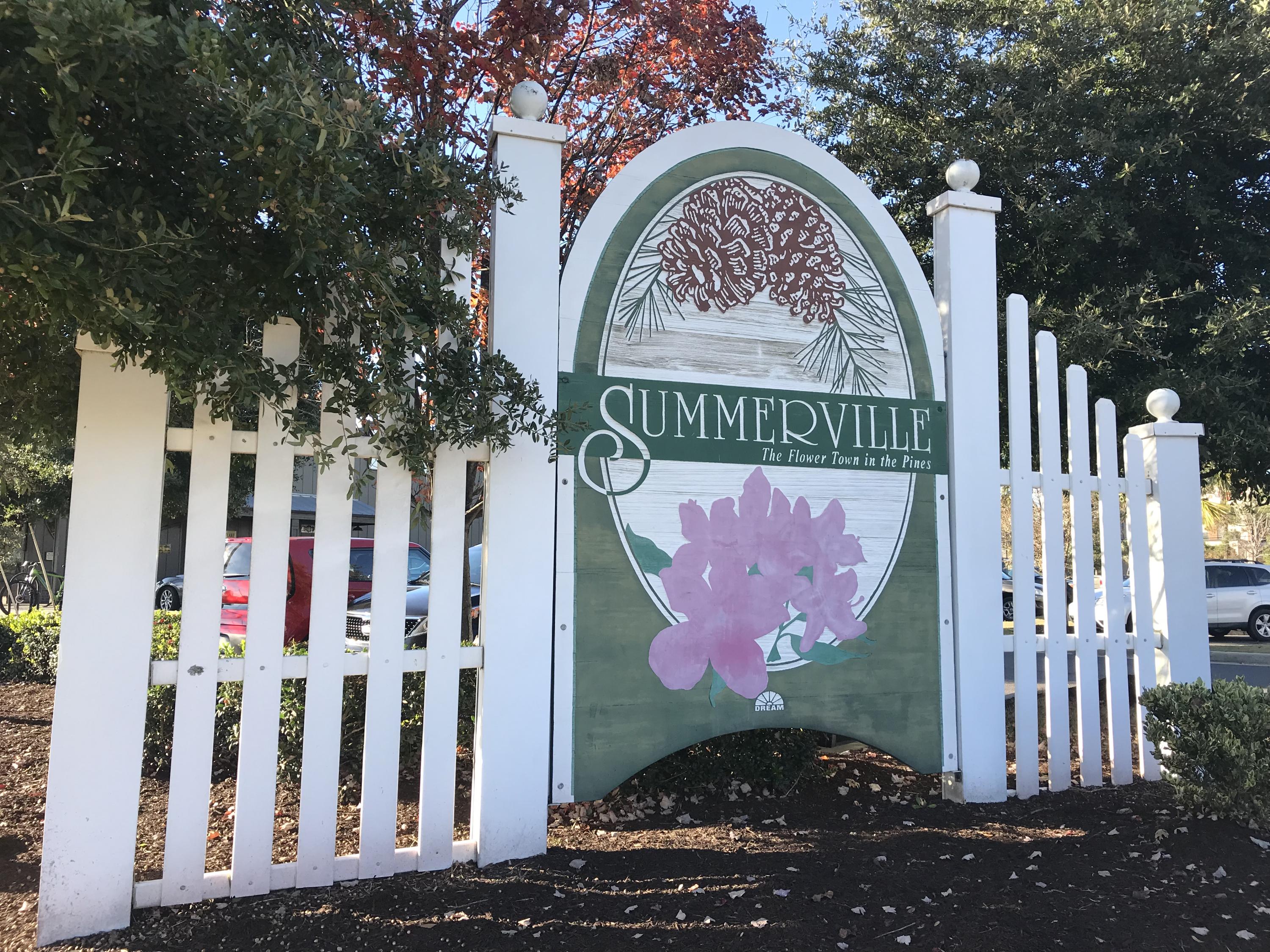 204 County Rd S-18-458 Summerville, SC 29485 - Photo 2 of 67 25C0F6A0-3894-48C4-AA48-2F0EBB7549A3