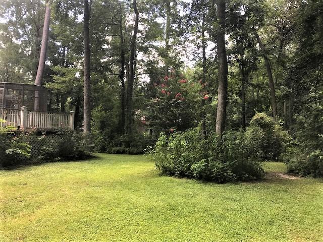 204 County Rd S-18-458 Summerville, SC 29485 - Photo 14 of 67 204 Woodland Drive Summerville Back 3