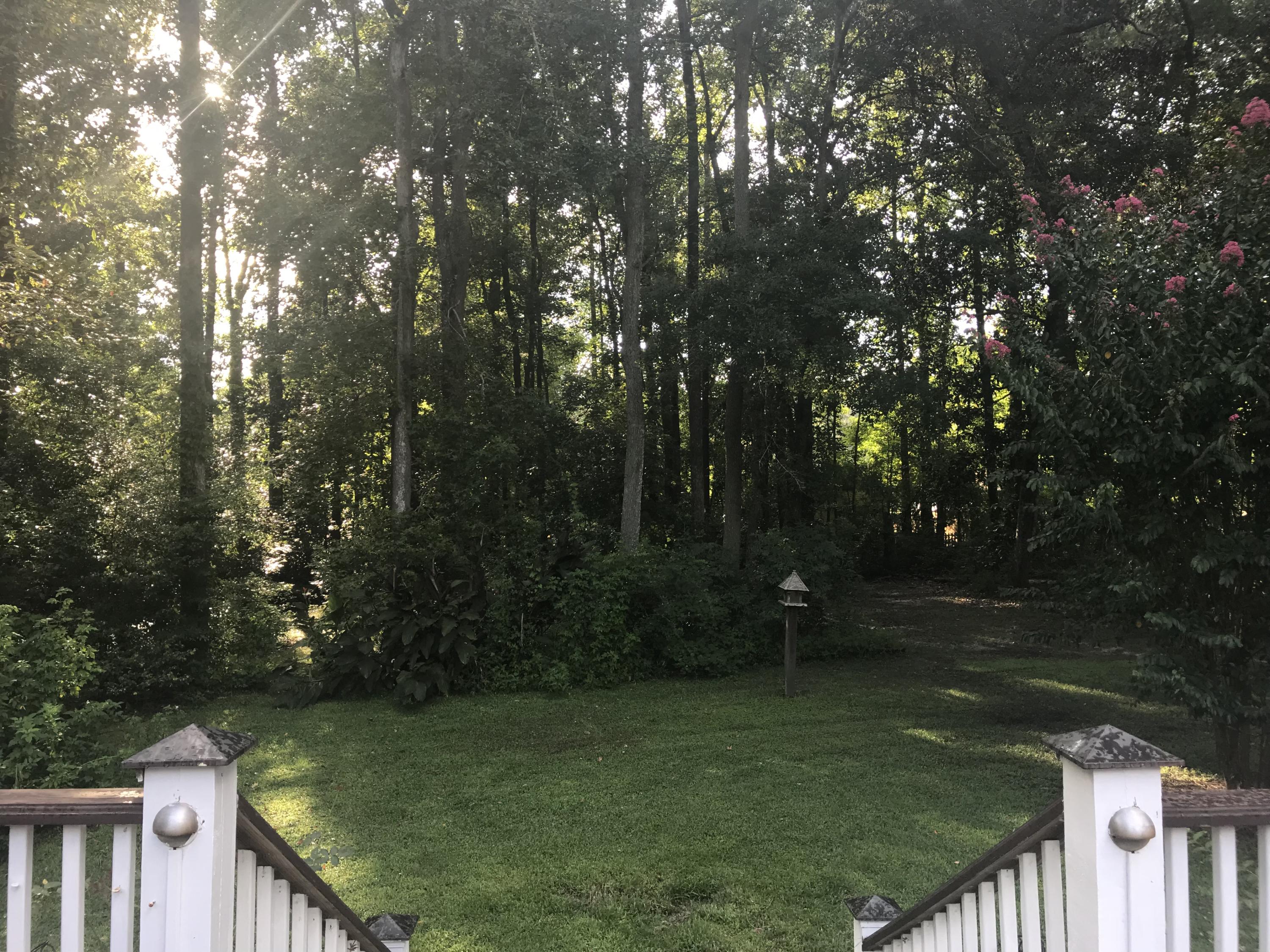 204 County Rd S-18-458 Summerville, SC 29485 - Photo 20 of 67 F54D00CB-CB4A-473B-ADCF-4D767FA79DF0