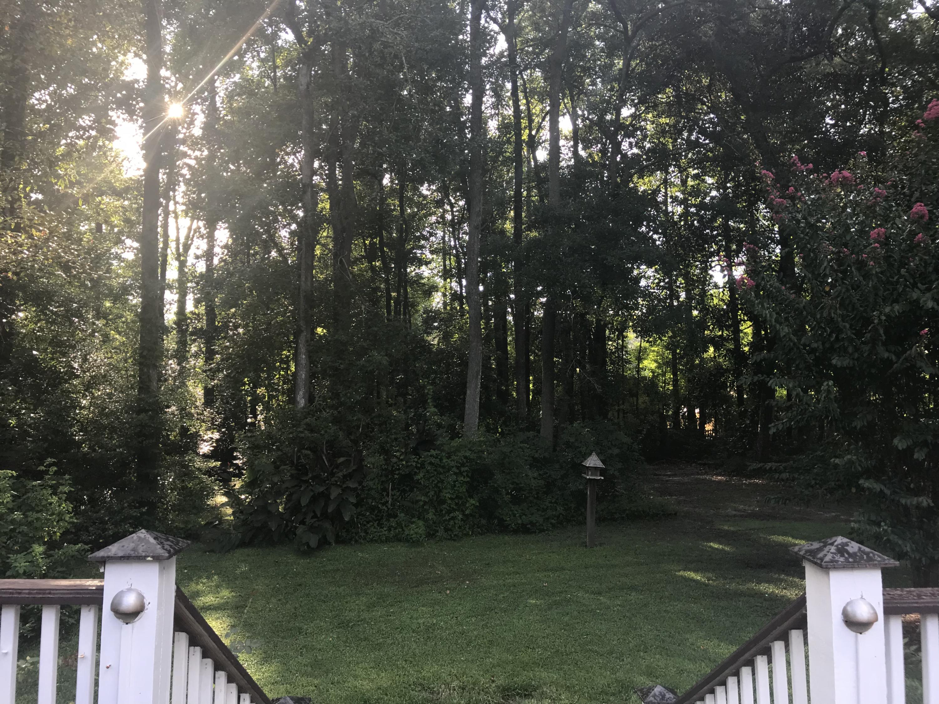 204 County Rd S-18-458 Summerville, SC 29485 - Photo 21 of 67 0E97C461-662D-49B5-A786-ADBD3F057B00