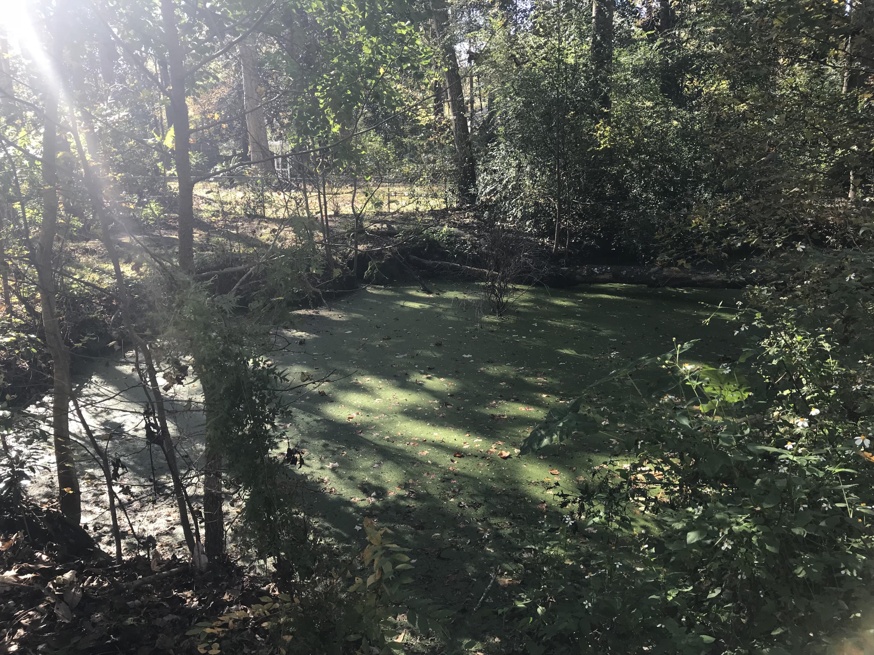 204 County Rd S-18-458 Summerville, SC 29485 - Photo 51 of 67 EE996C5F-68D0-4C35-A5BE-0E3BD45812EB