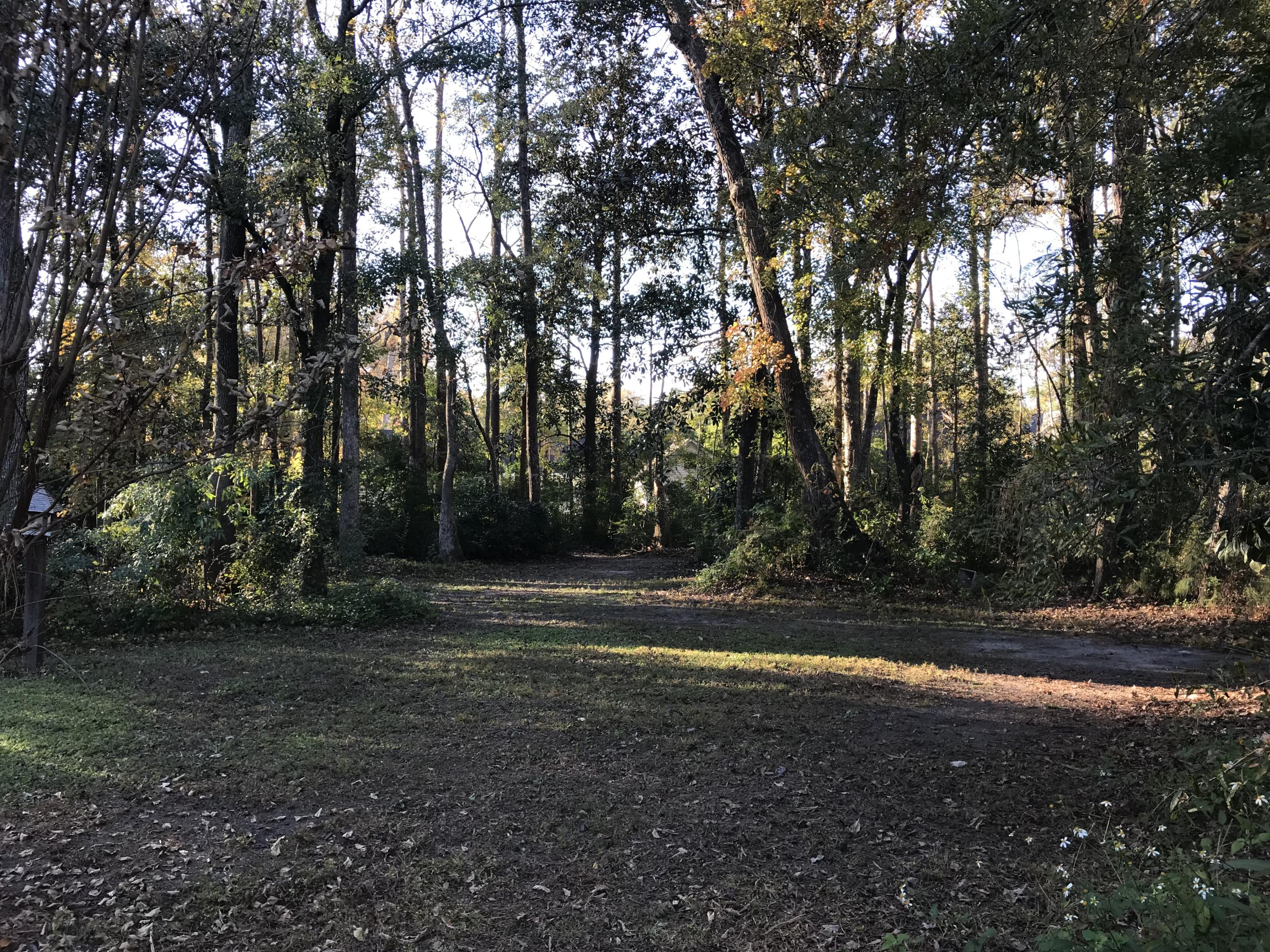 204 County Rd S-18-458 Summerville, SC 29485 - Photo 56 of 67 5B44EBFC-615B-4E3E-A523-8A44A54D5FD8