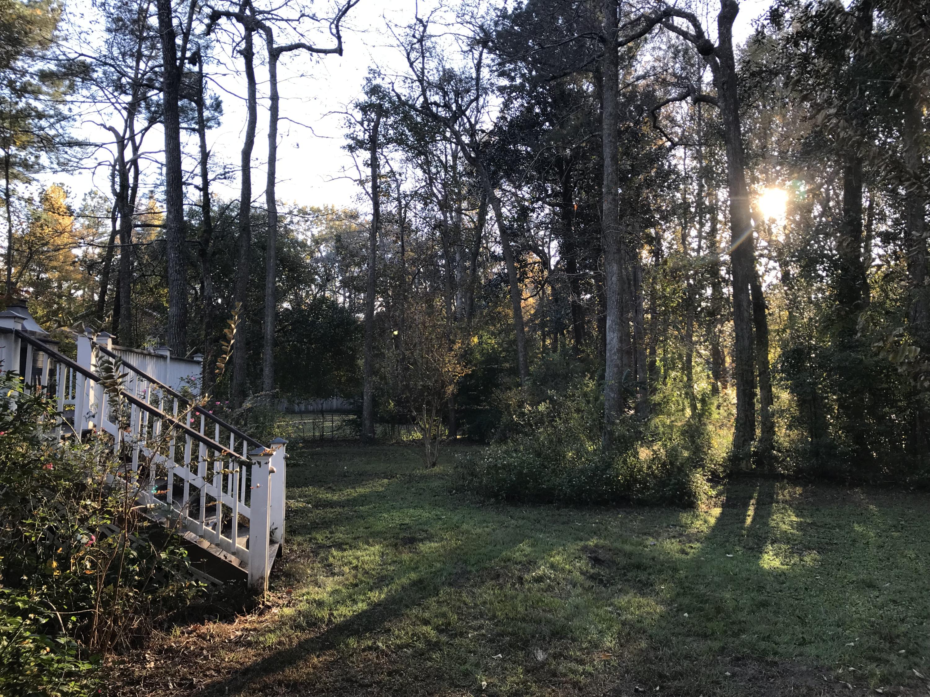 204 County Rd S-18-458 Summerville, SC 29485 - Photo 57 of 67 36A7A021-577A-482D-8703-B6071A3299E5