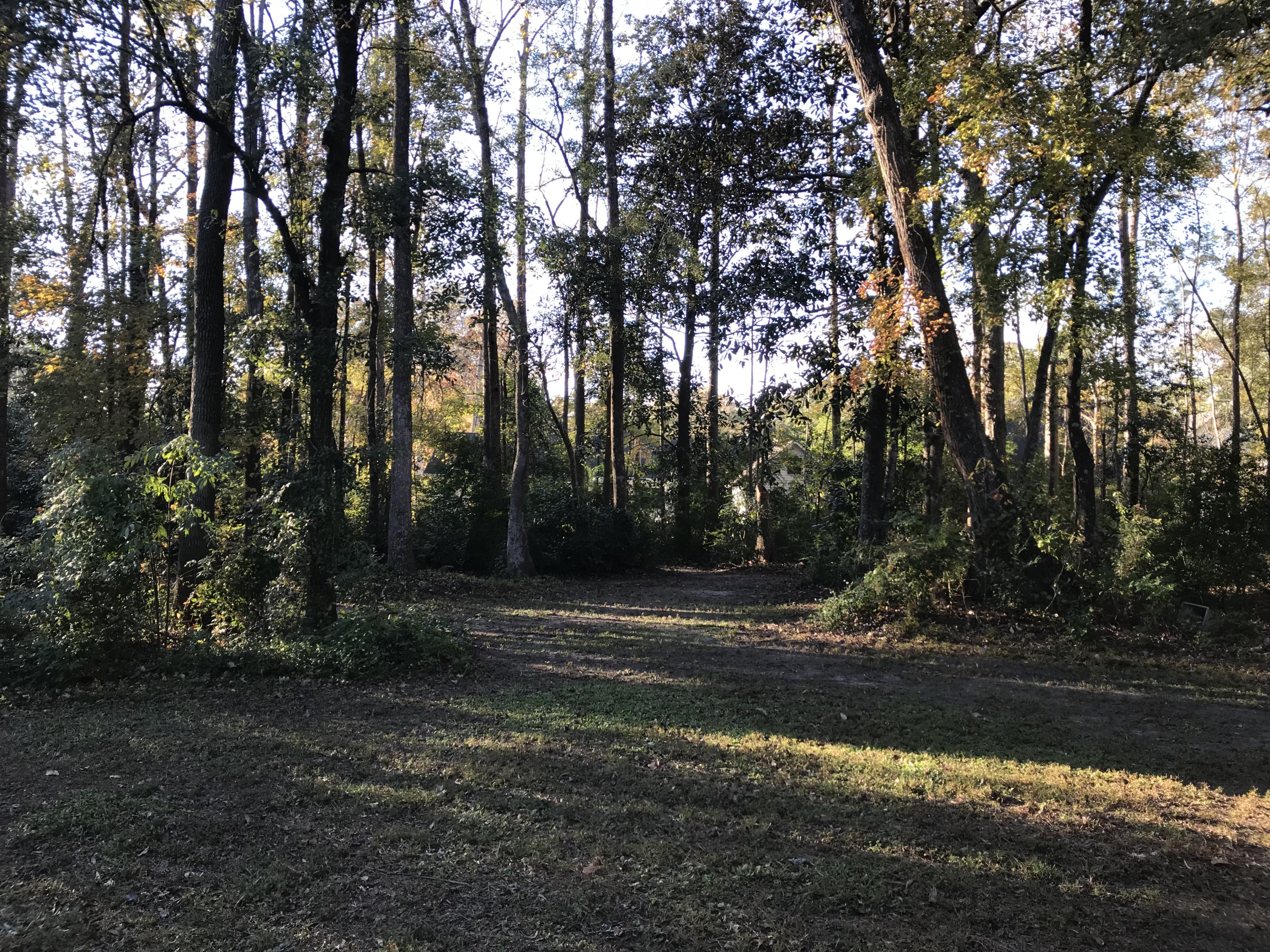 204 County Rd S-18-458 Summerville, SC 29485 - Photo 58 of 67 15BD2683-8562-4A99-B70E-F20DDBA1BA79