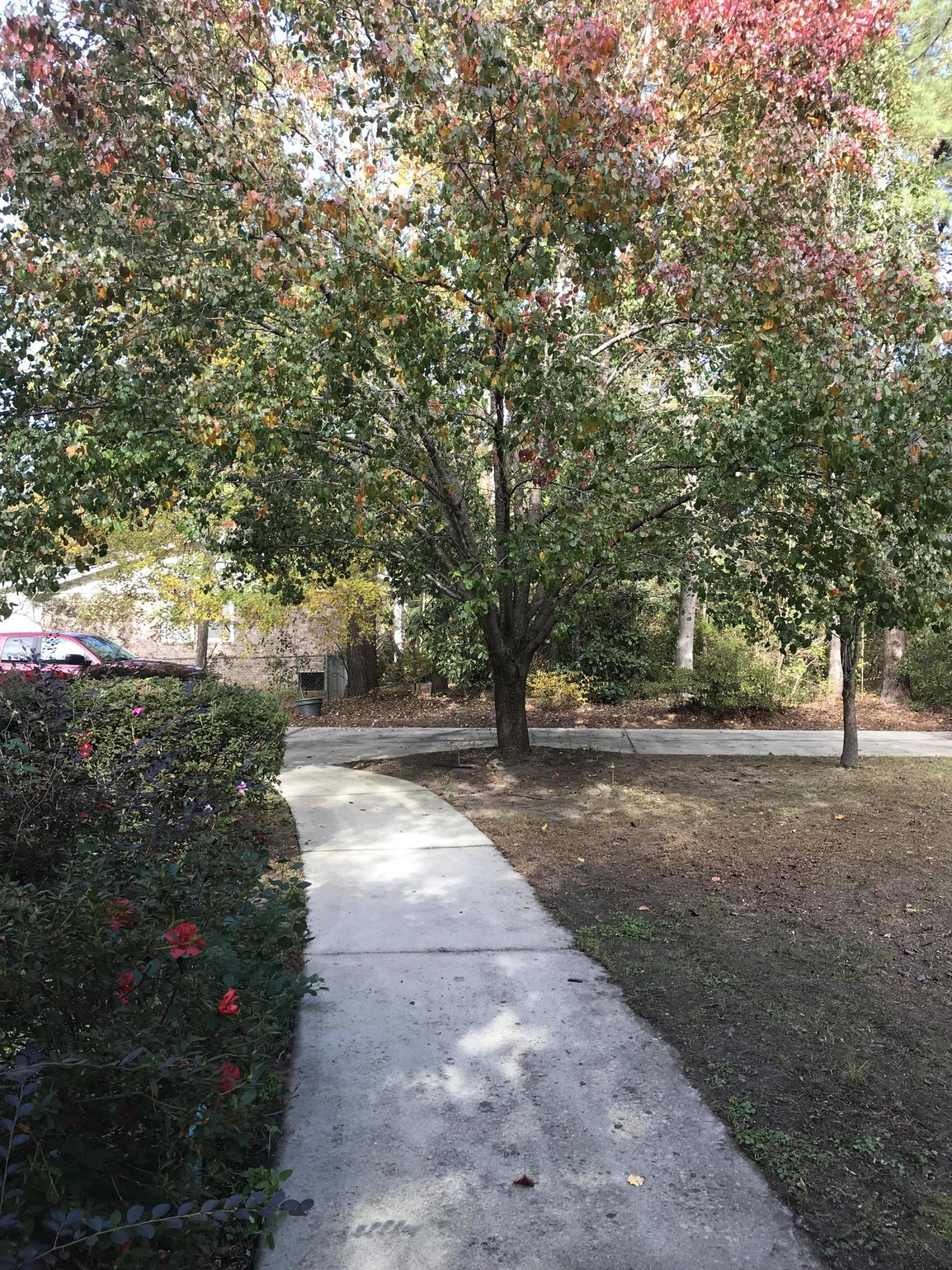 204 County Rd S-18-458 Summerville, SC 29485 - Photo 64 of 67 35DFA973-BB3C-4DE2-A0F7-AD5D1FF1CC5D