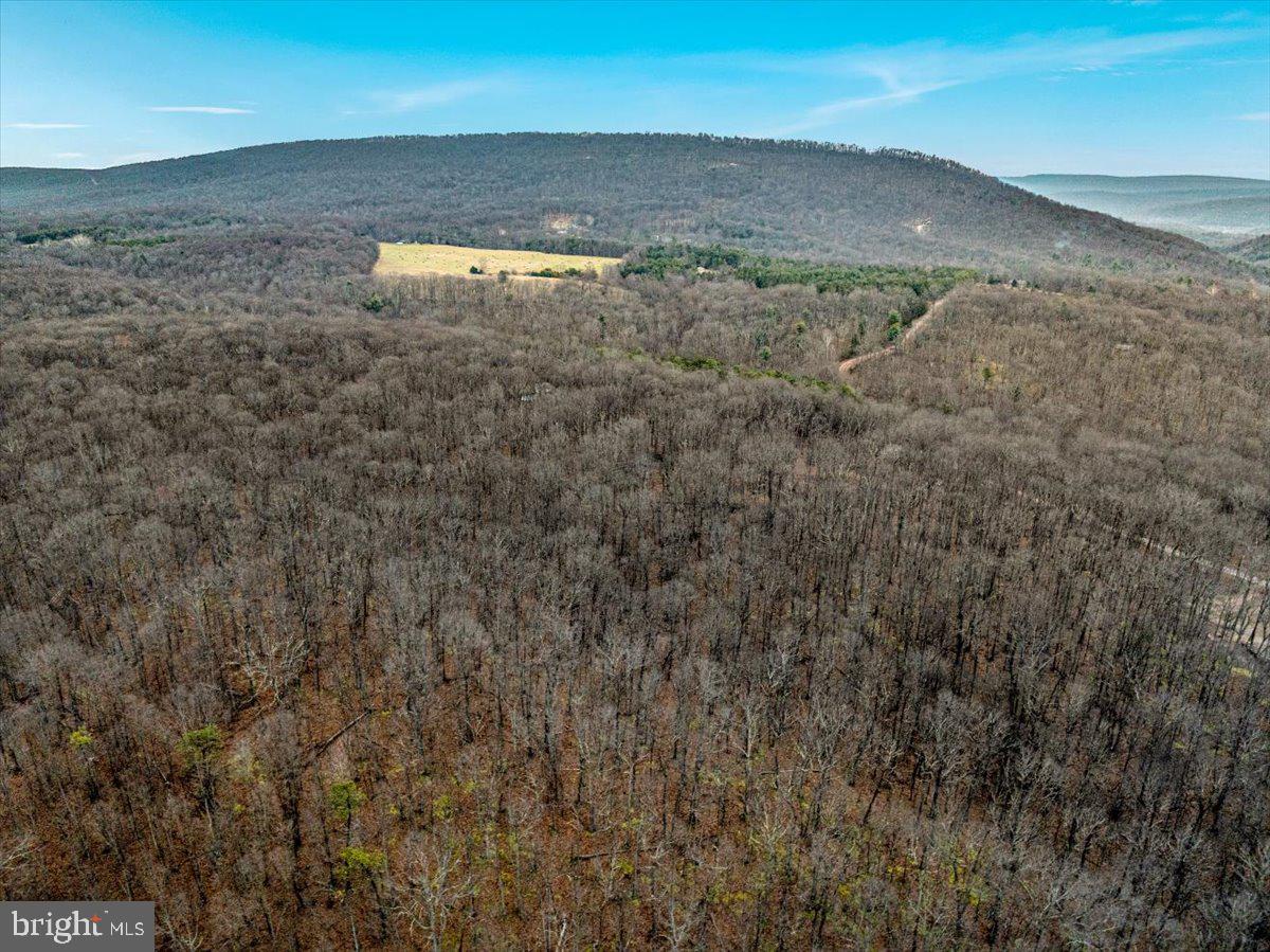 0 Whispering Pines Road Paw Paw, WV 25434 - Photo 15 of 16
