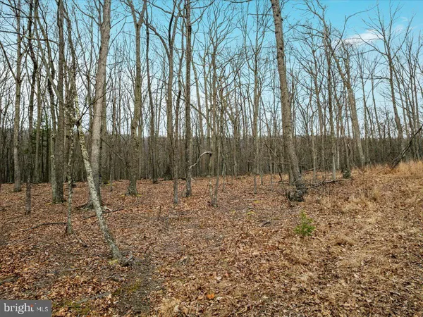 $62,900 | 0 Whispering Pines Road, Paw Paw, WV 25434
