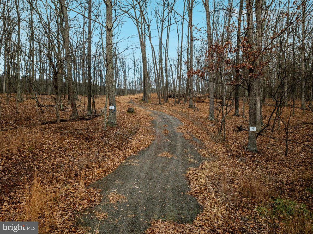 0 Whispering Pines Road Paw Paw, WV 25434 - Photo 3 of 16