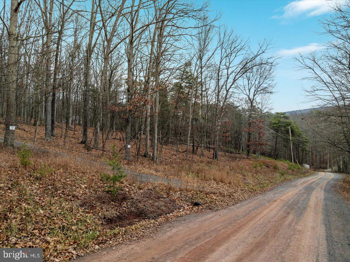 0 Whispering Pines Road Paw Paw, WV 25434 - Photo 4 of 16