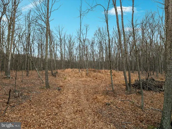 $62,900 | 0 Whispering Pines Road, Paw Paw, WV 25434