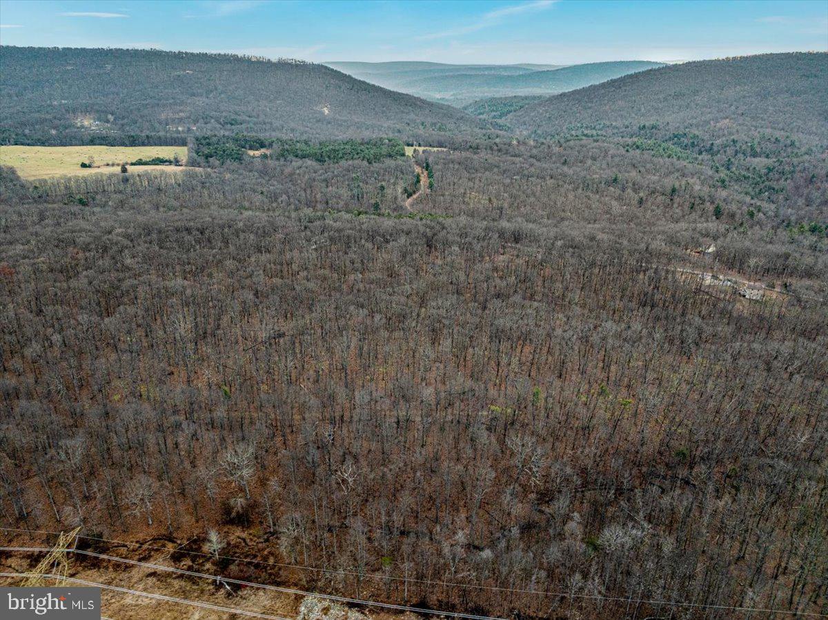 0 Whispering Pines Road Paw Paw, WV 25434 - Photo 8 of 16