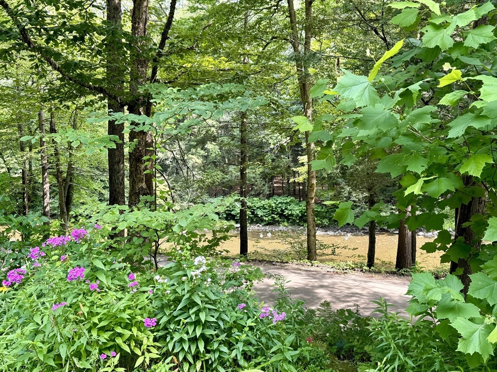 73 Green River Road Colrain, MA 01340 - Photo 2 of 26 a view of a street with lots of flower plants