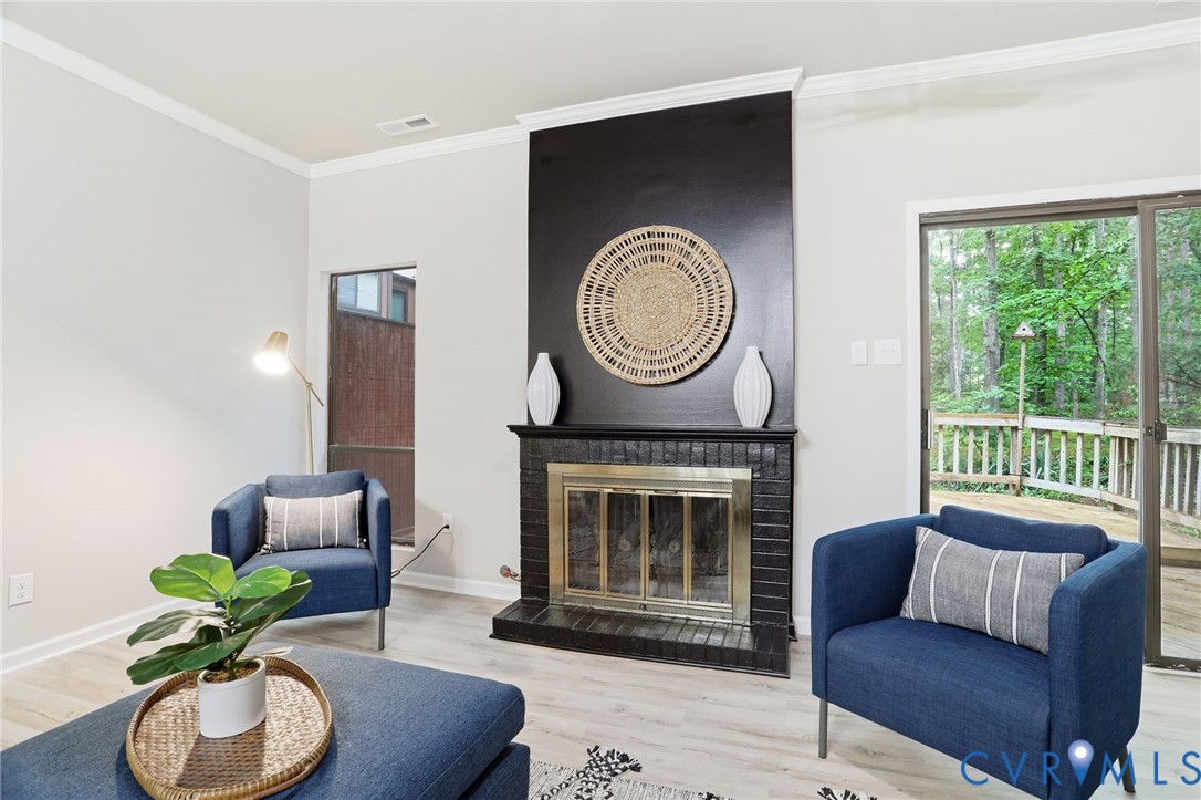 11735 South Briar Patch Drive Midlothian, VA 23113 - Photo 16 of 48 a living room with furniture a window and a fireplace