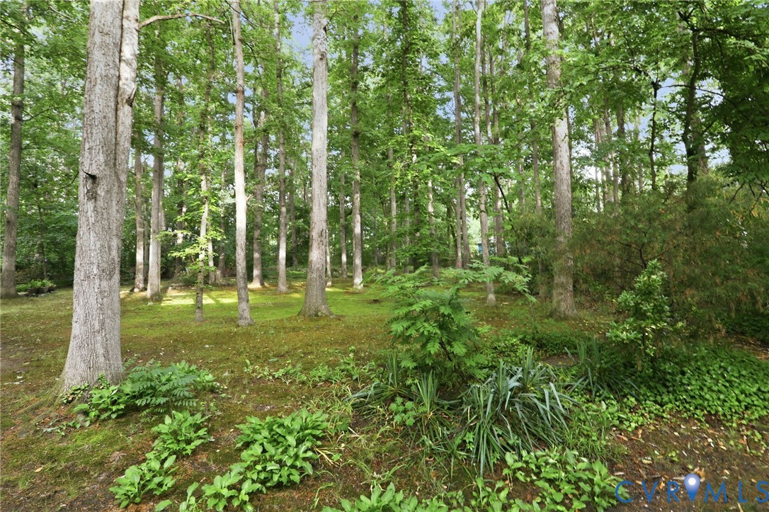 11735 South Briar Patch Drive Midlothian, VA 23113 - Photo 37 of 48 a view of backyard with green space
